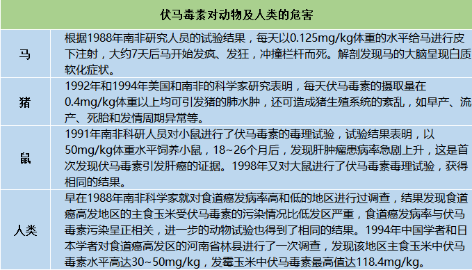 伏馬菌素對動物及人類的危害