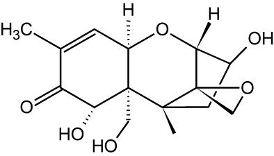 嘔吐毒素DON