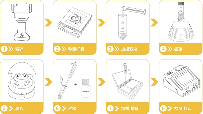 黃曲霉毒快速檢測試紙條檢測流程